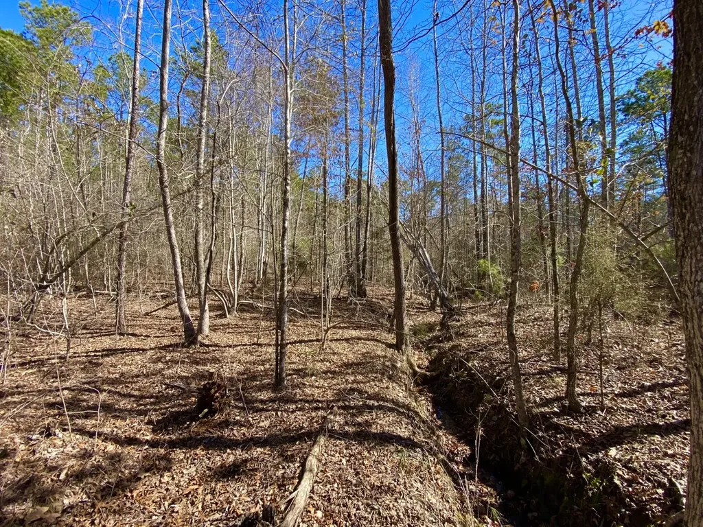 0 Adams Road - 1 & 2 Bankston AL 35542