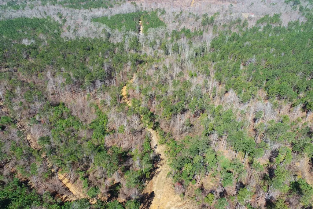 0 Adams Road - 1 & 2 Bankston AL 35542