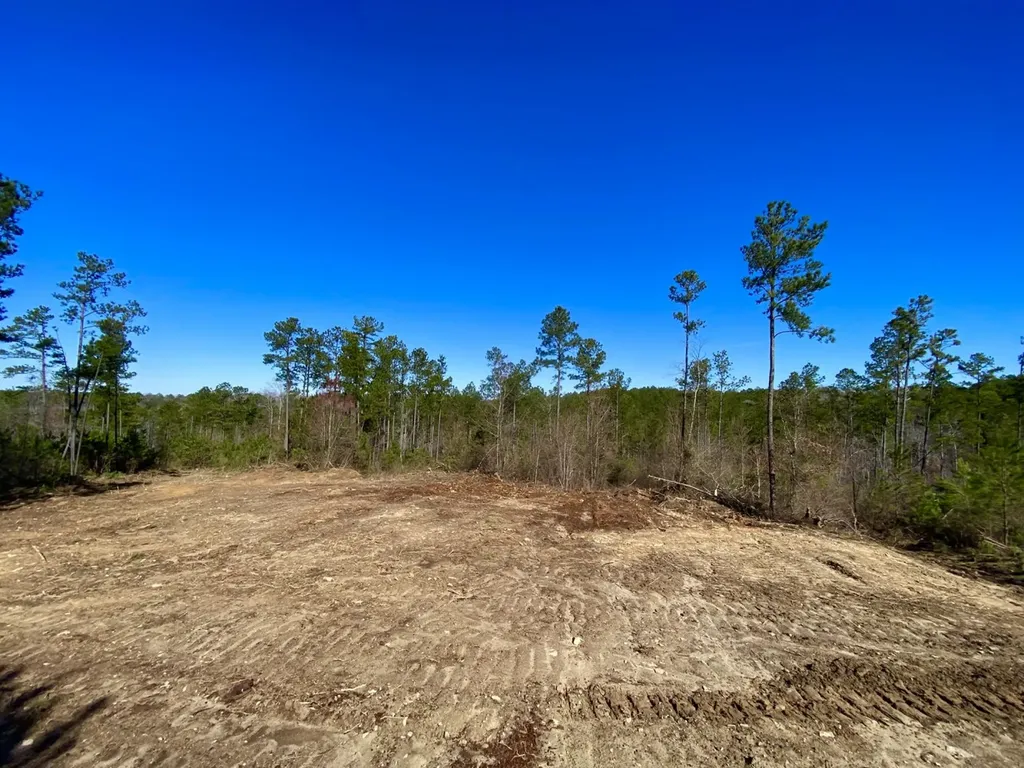 0 Adams Road - 1 & 2 Bankston AL 35542