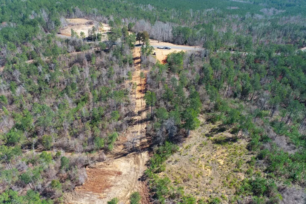 0 Adams Road - 1 & 2 Bankston AL 35542