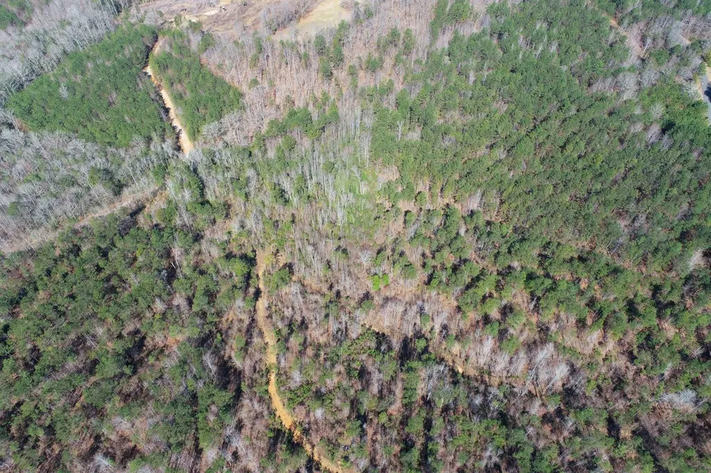 0 Adams Road - 1 & 2 Bankston AL 35542