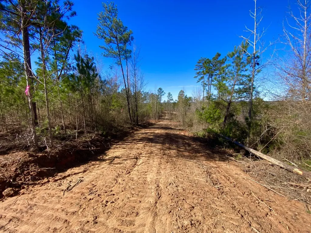 0 Adams Road - 1 & 2 Bankston AL 35542