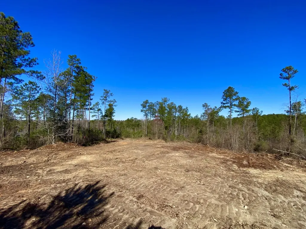0 Adams Road - 1 & 2 Bankston AL 35542