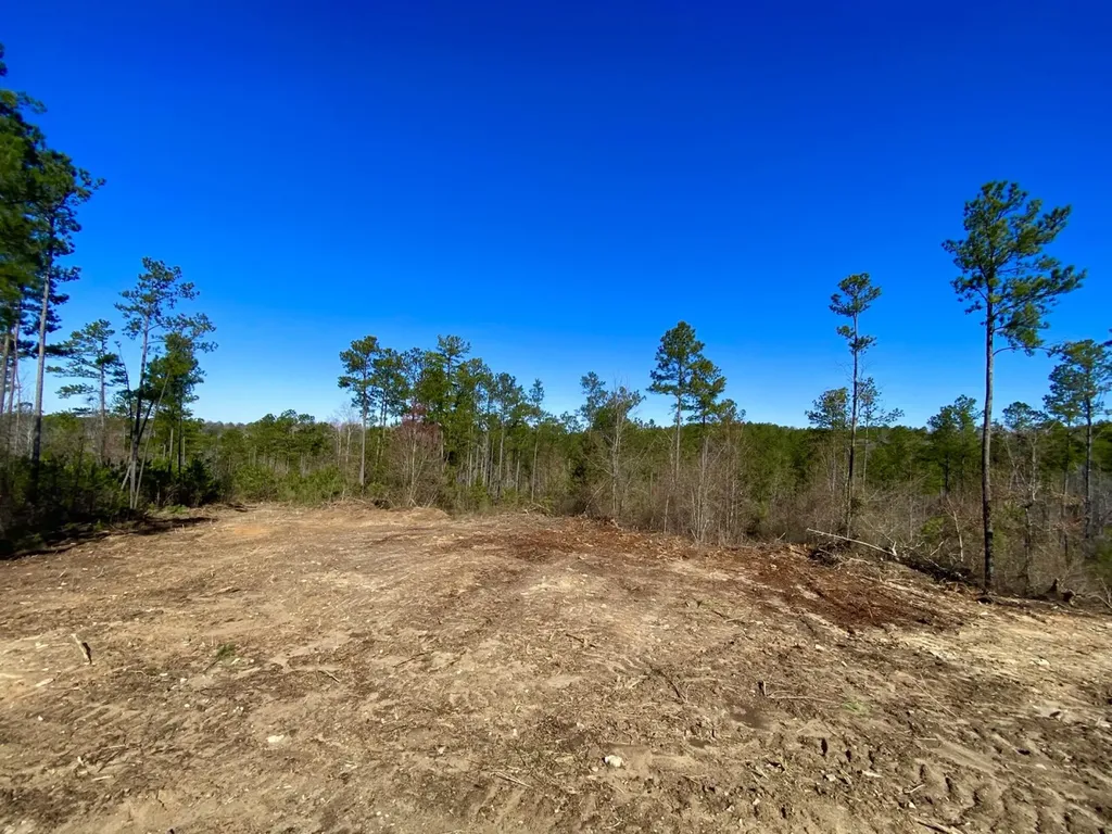 0 Adams Road - 1 & 2 Bankston AL 35542