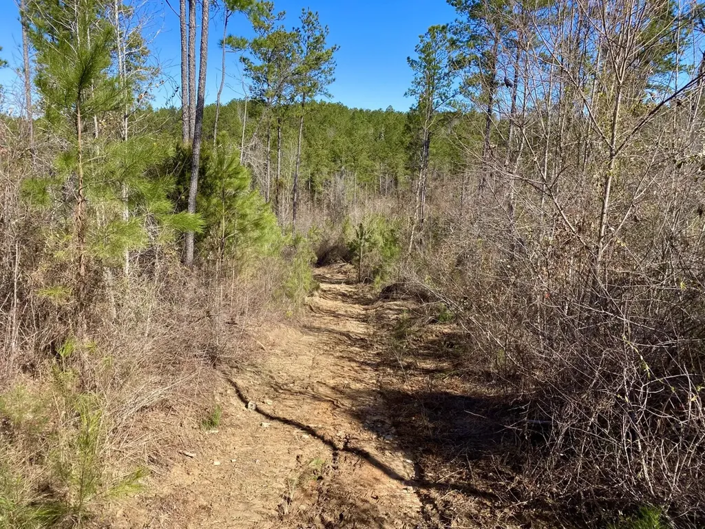 0 Adams Road - 1 & 2 Bankston AL 35542