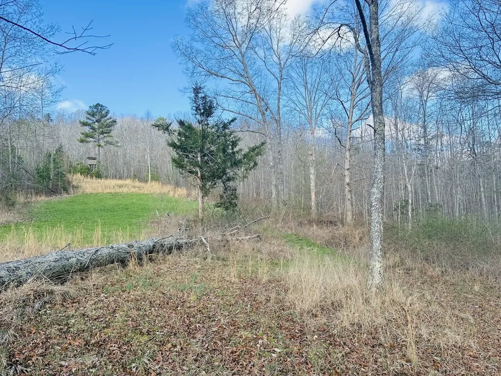 0 County Road 709 Valley Head AL 35989