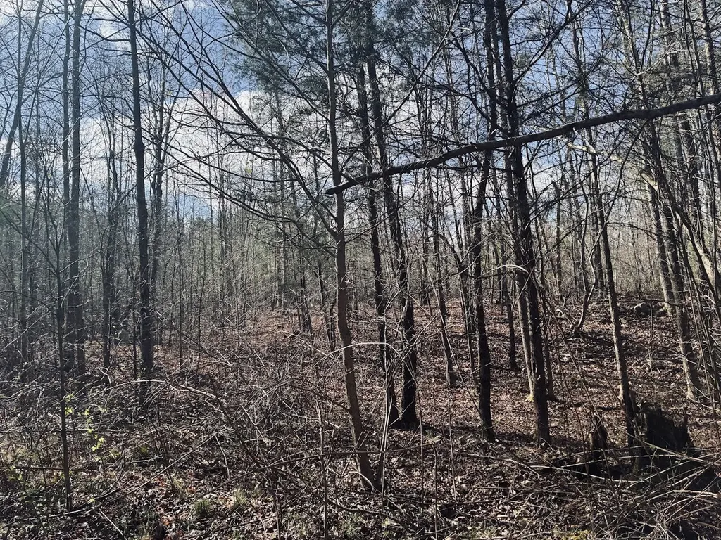 0 County Road 709 Valley Head AL 35989