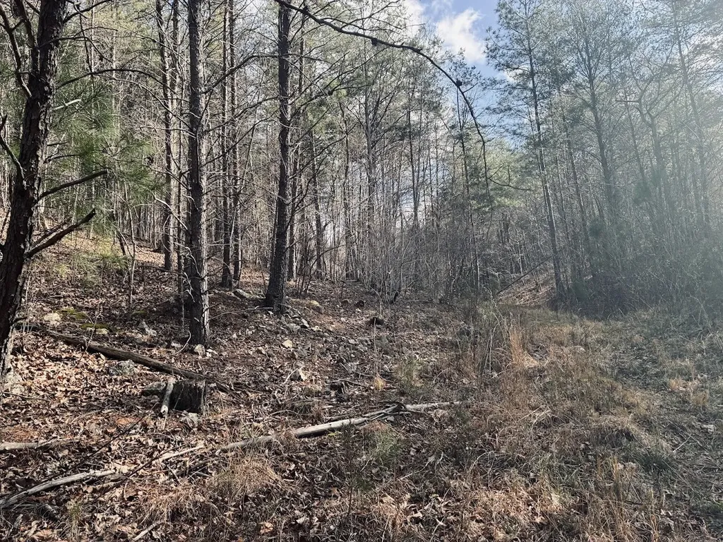 0 County Road 709 Valley Head AL 35989