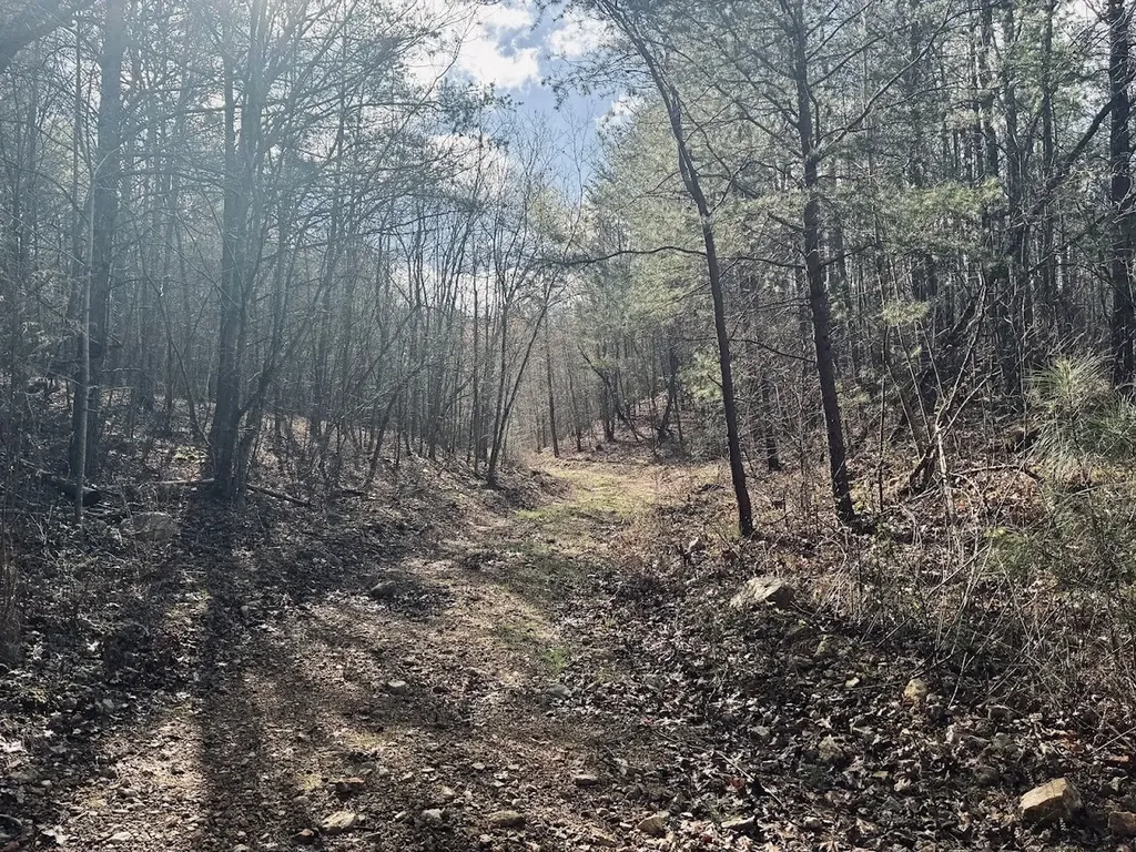 0 County Road 709 Valley Head AL 35989