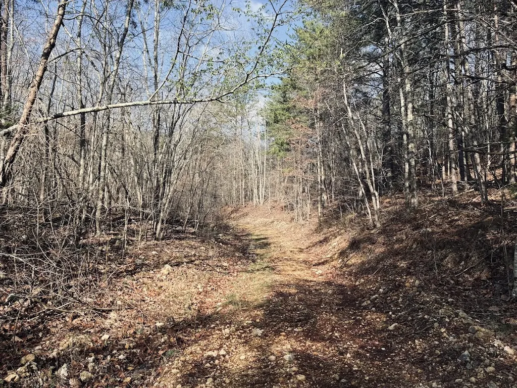 0 County Road 709 Valley Head AL 35989