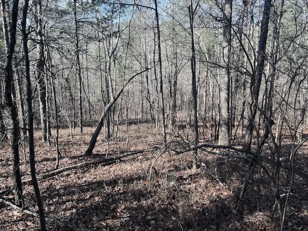 0 County Road 709 Valley Head AL 35989