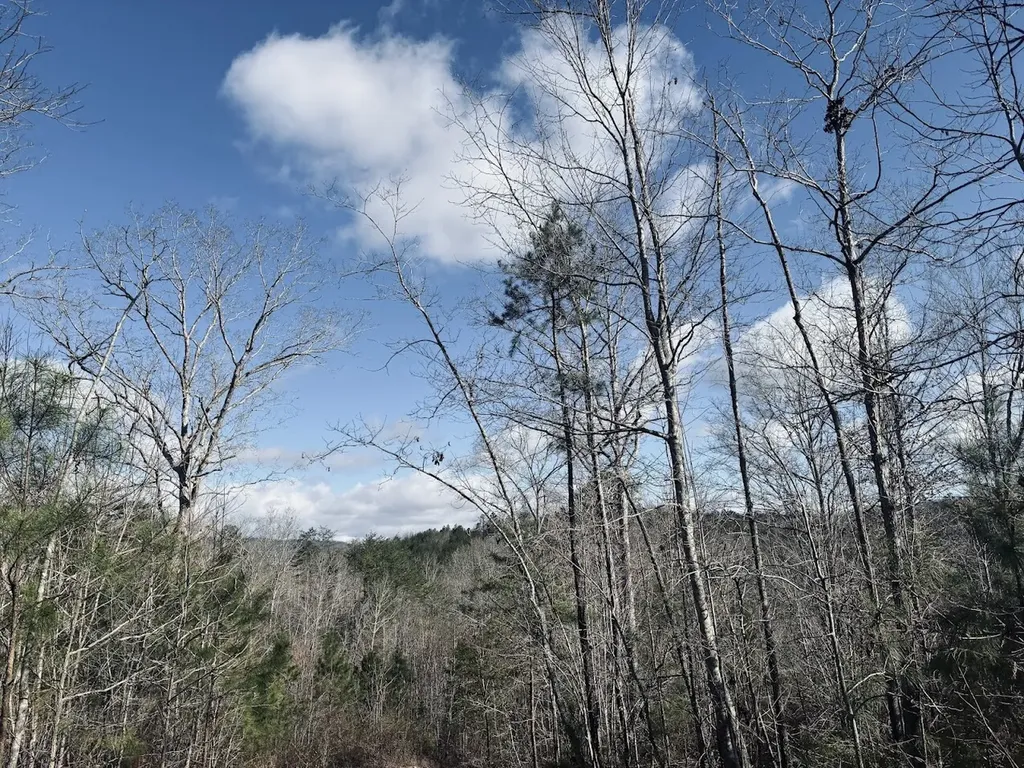 0 County Road 709 Valley Head AL 35989
