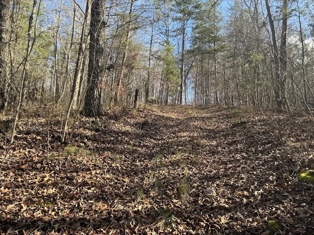 0 County Road 709 Valley Head AL 35989