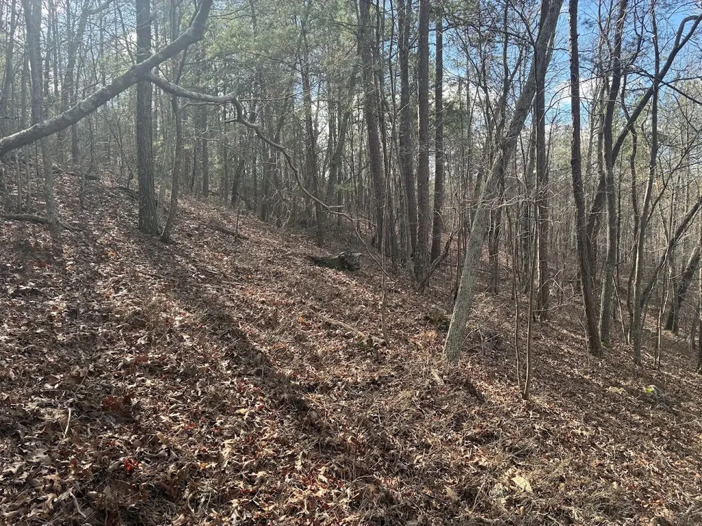 0 County Road 709 Valley Head AL 35989