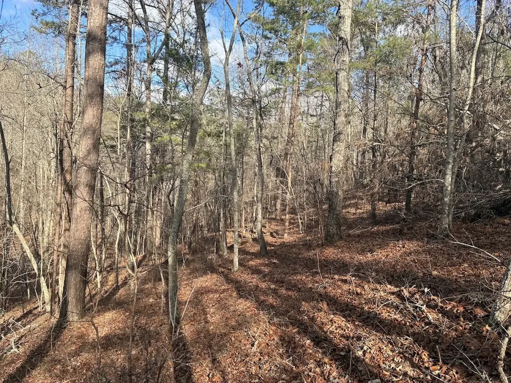 0 County Road 709 Valley Head AL 35989