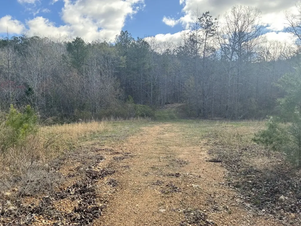 0 County Road 709 Valley Head AL 35989