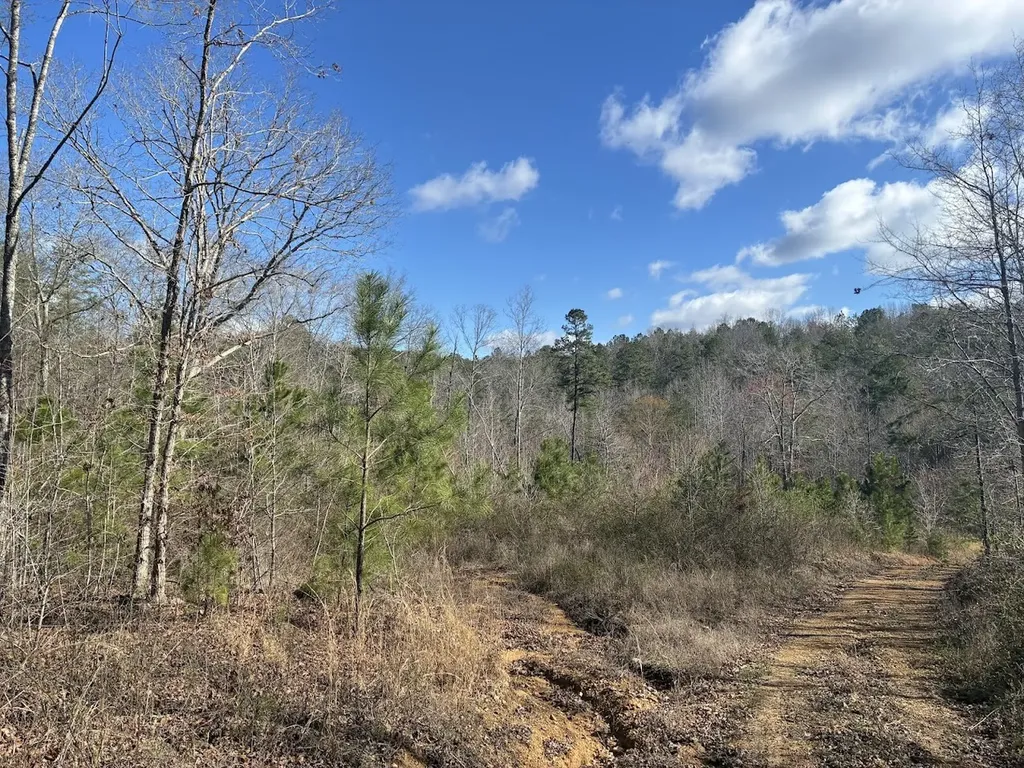 0 County Road 709 Valley Head AL 35989