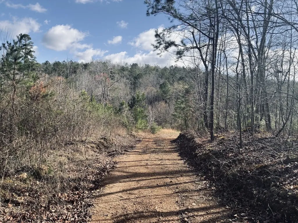 0 County Road 709 Valley Head AL 35989