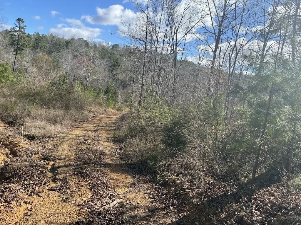 0 County Road 709 Valley Head AL 35989