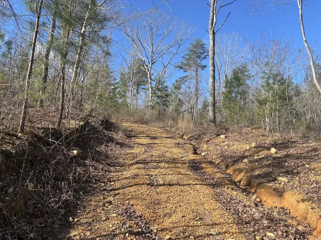 0 County Road 709 Valley Head AL 35989
