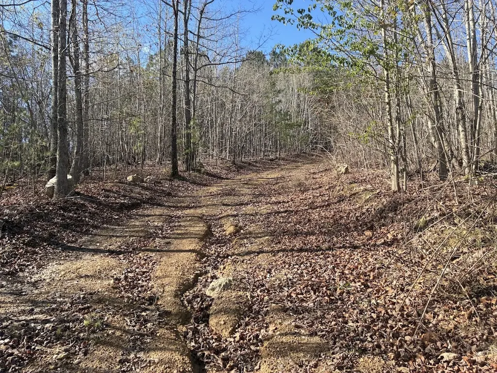 0 County Road 709 Valley Head AL 35989