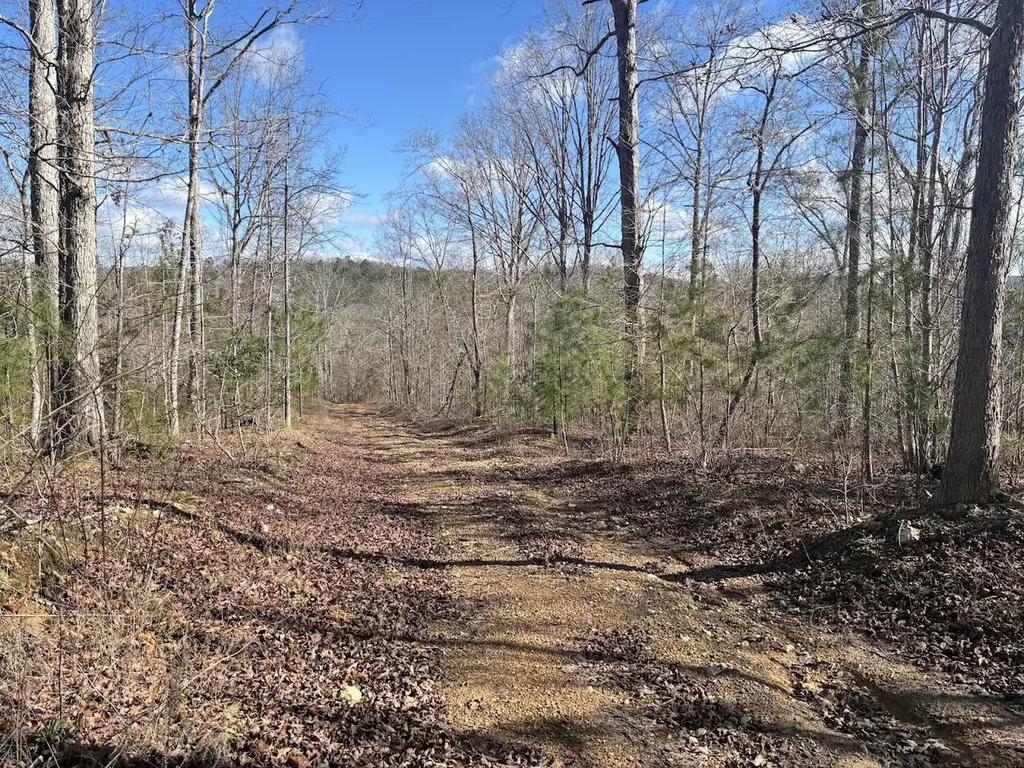0 County Road 709 Valley Head AL 35989