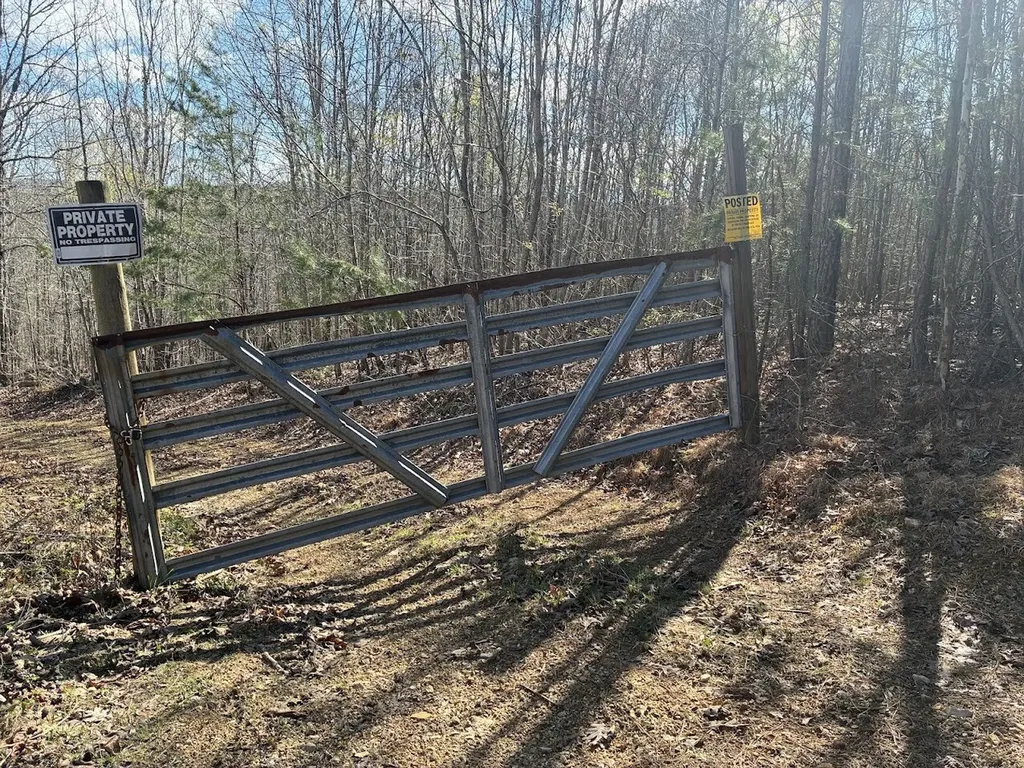 0 County Road 709 Valley Head AL 35989