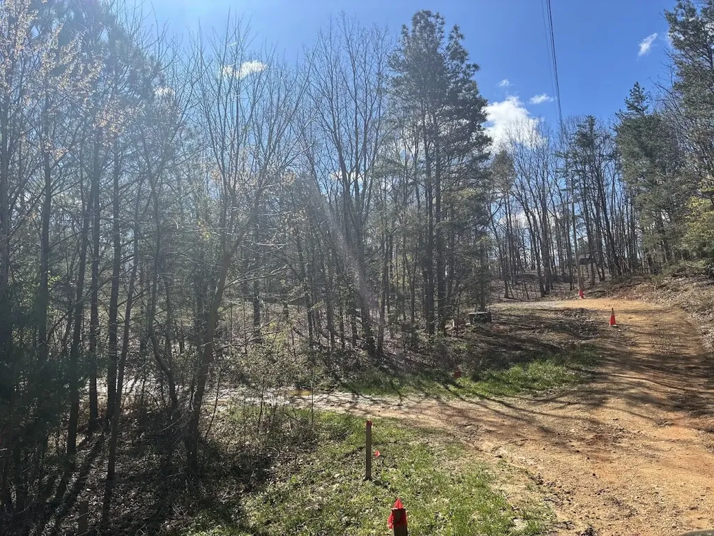 0 County Road 709 Valley Head AL 35989