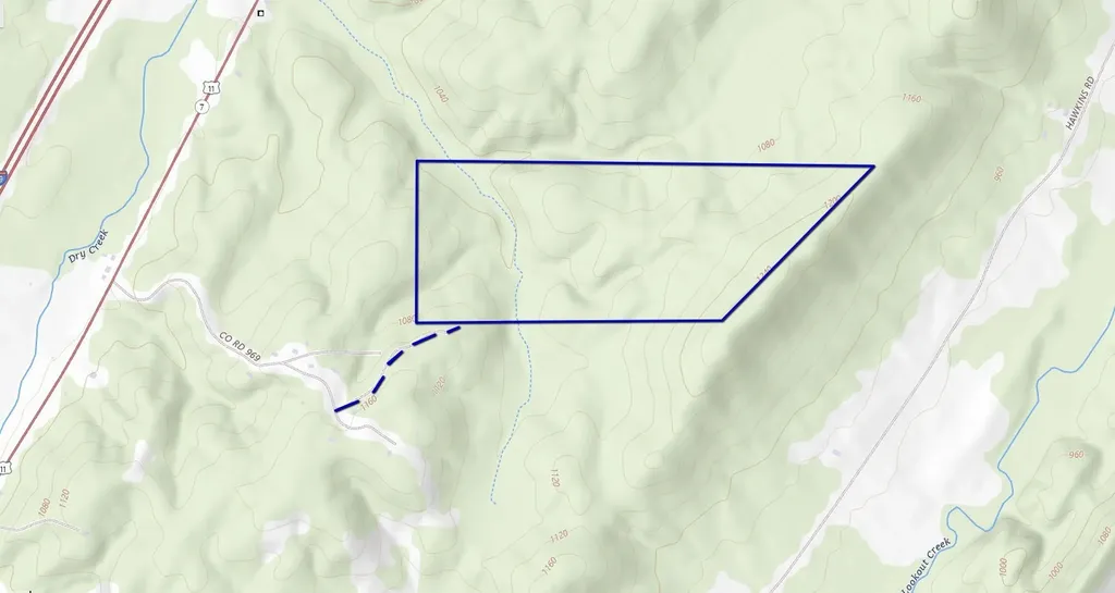 0 County Road 709 Valley Head AL 35989