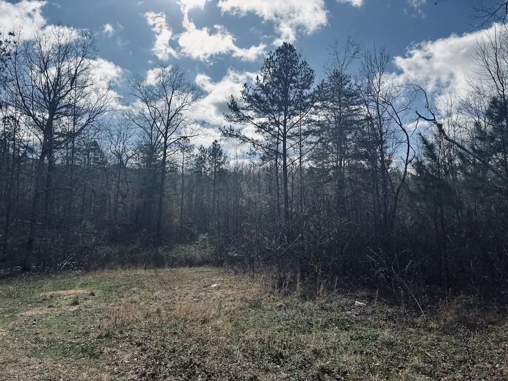 0 County Road 709 Valley Head AL 35989