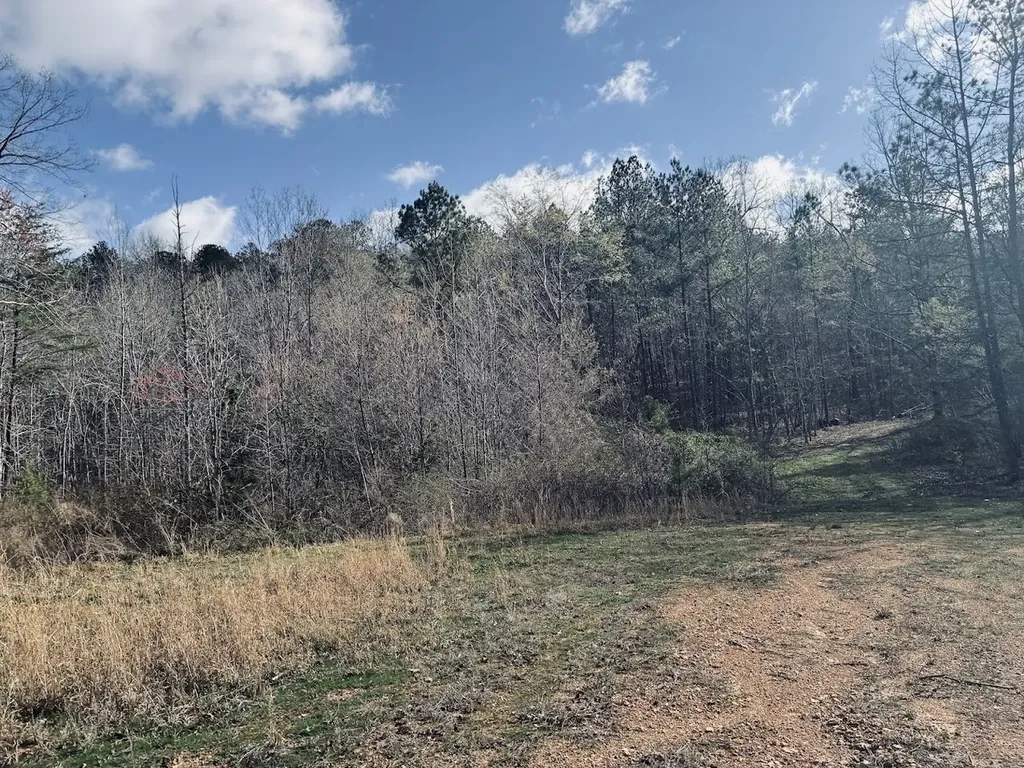0 County Road 709 Valley Head AL 35989