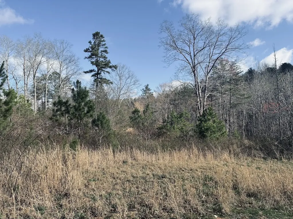 0 County Road 709 Valley Head AL 35989