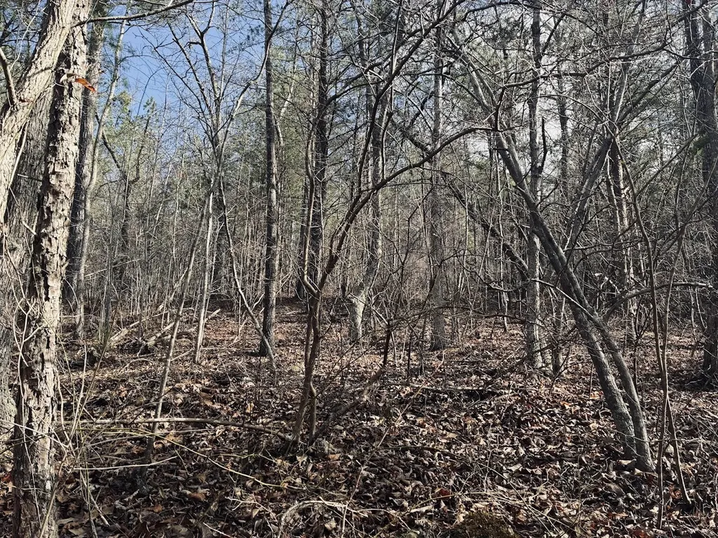 0 County Road 709 Valley Head AL 35989