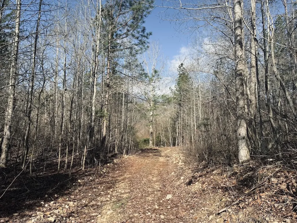 0 County Road 709 Valley Head AL 35989