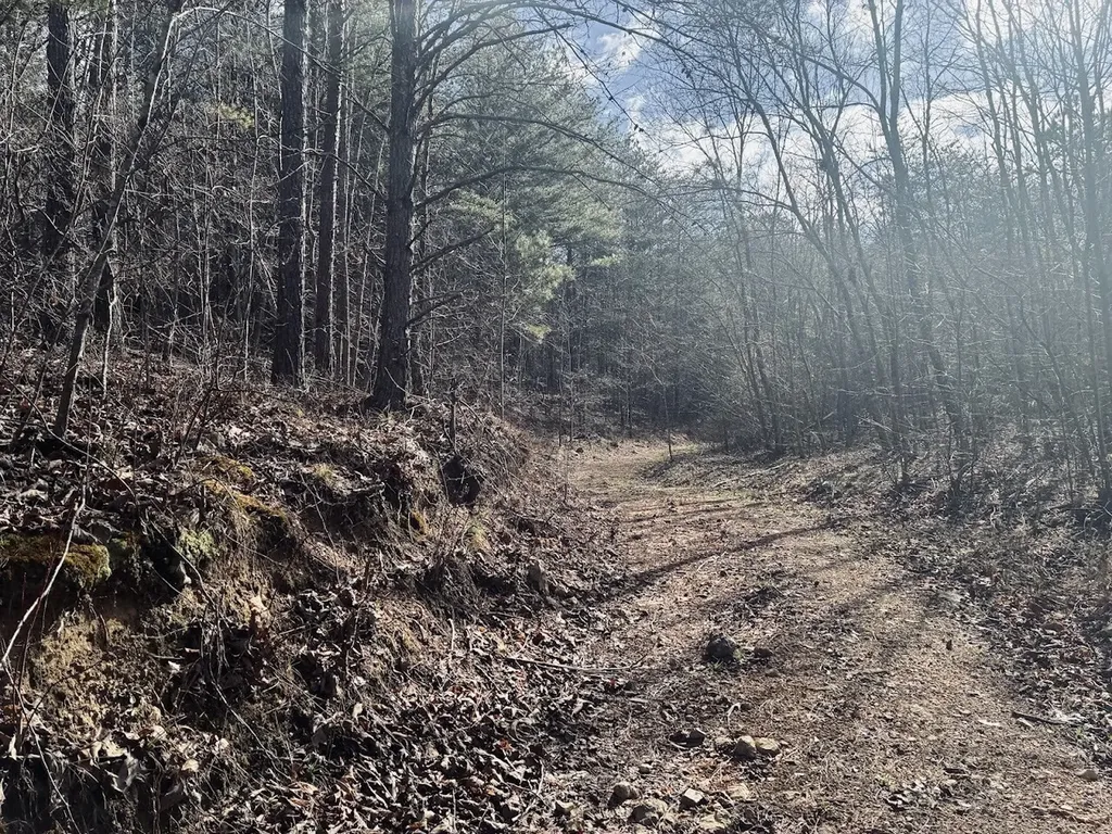 0 County Road 709 Valley Head AL 35989