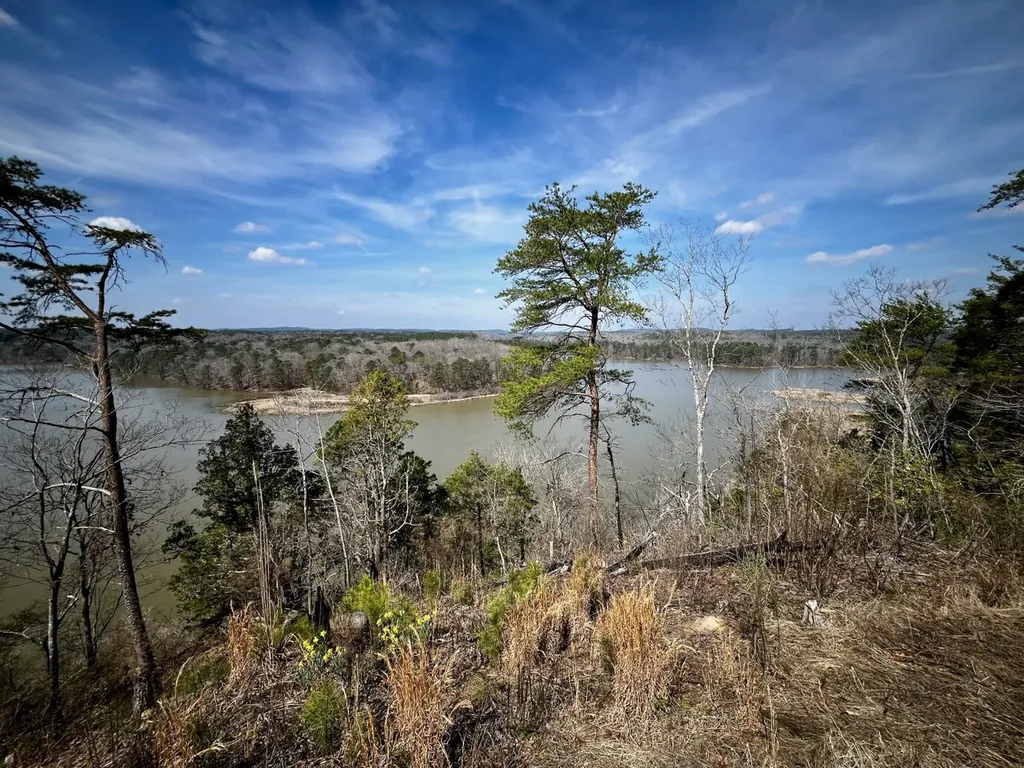 219 Pine Ridge Road Birmingham AL 35023