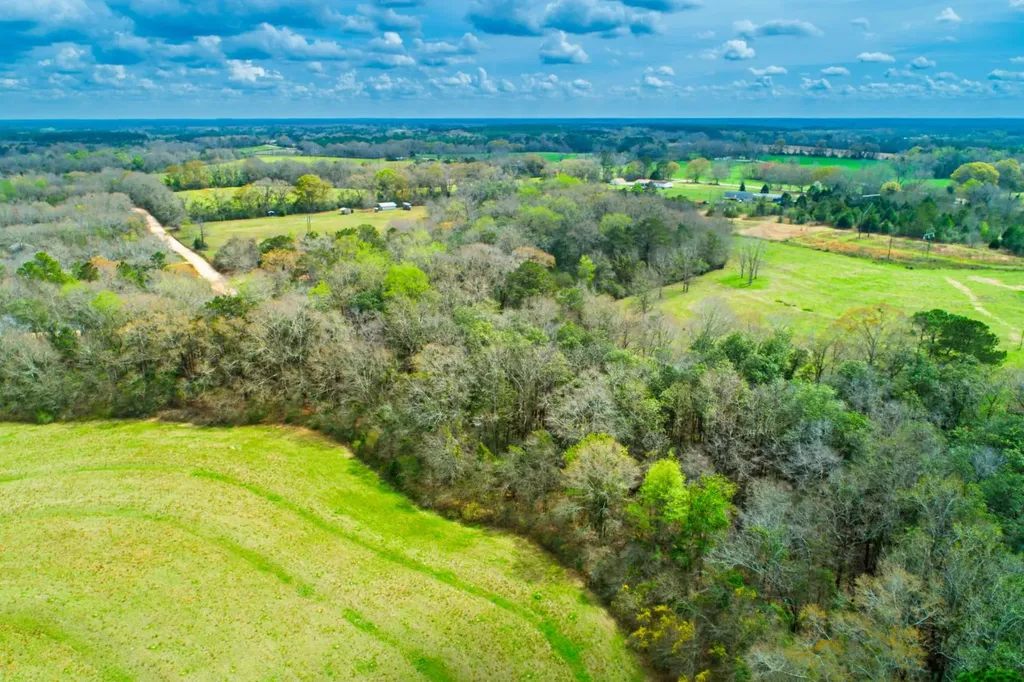 27180 Deer Run Road Opp AL 36467