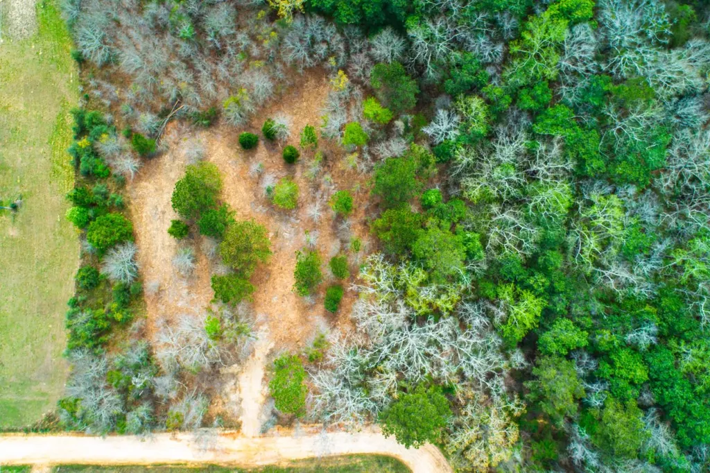 27180 Deer Run Road Opp AL 36467