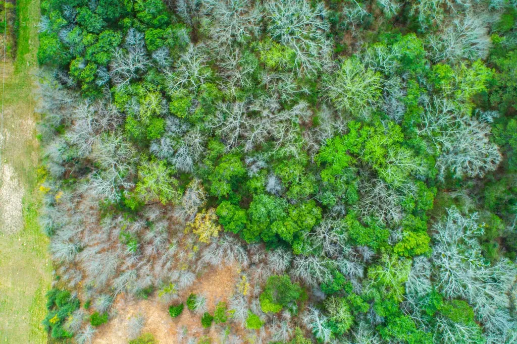 27180 Deer Run Road Opp AL 36467