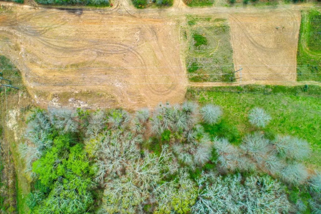 27180 Deer Run Road Opp AL 36467