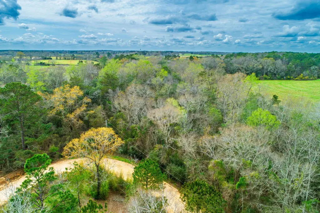 27180 Deer Run Road Opp AL 36467