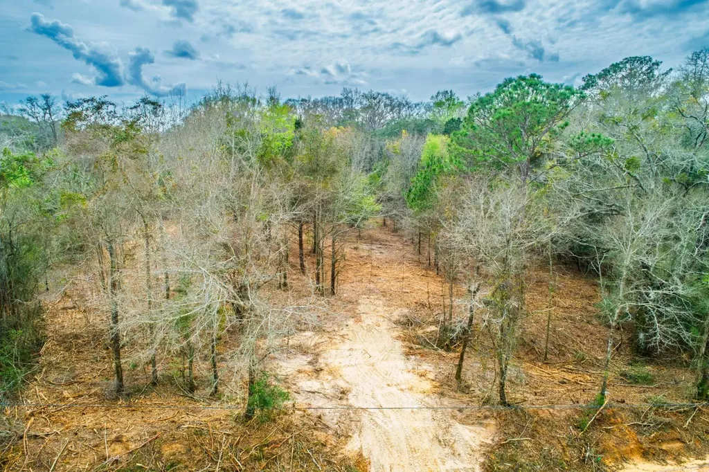 27180 Deer Run Road Opp AL 36467