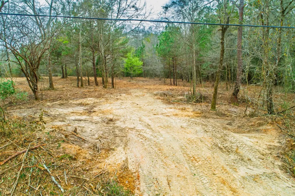 27180 Deer Run Road Opp AL 36467