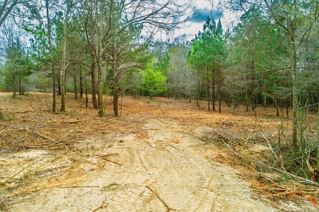 27180 Deer Run Road Opp AL 36467