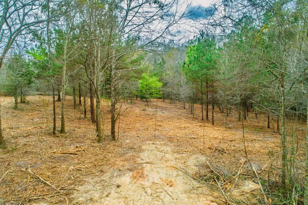 27180 Deer Run Road Opp AL 36467