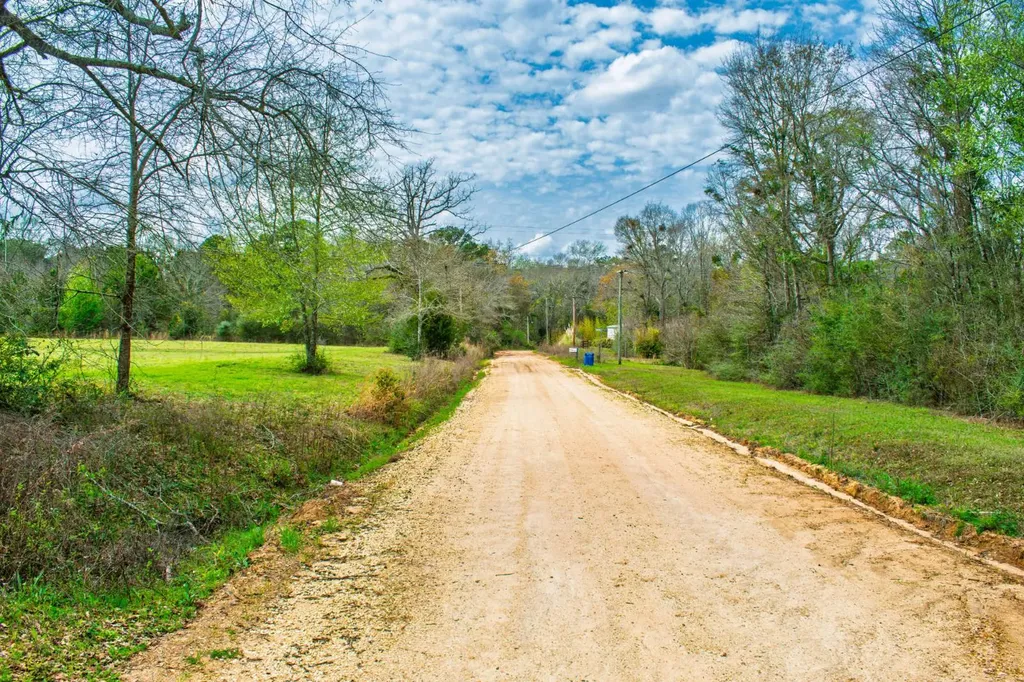 27180 Deer Run Road Opp AL 36467