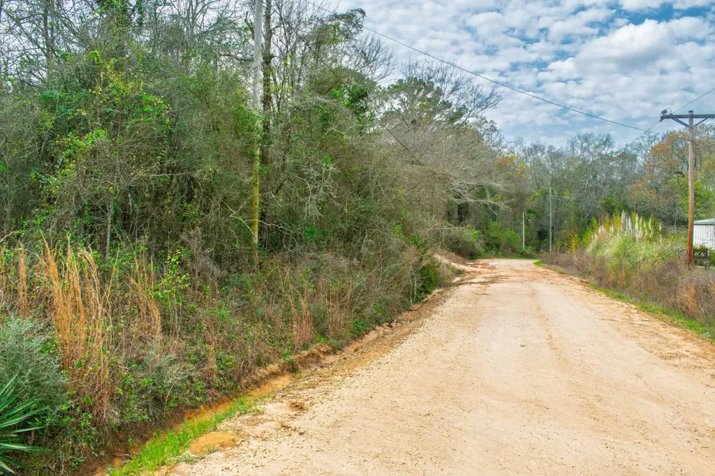 27180 Deer Run Road Opp AL 36467