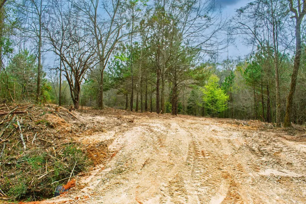27180 Deer Run Road Opp AL 36467