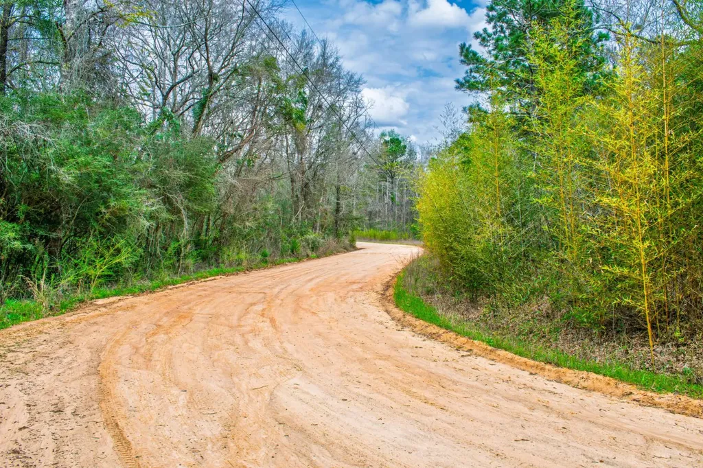 27180 Deer Run Road Opp AL 36467