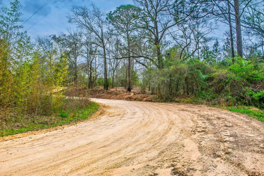 27180 Deer Run Road Opp AL 36467